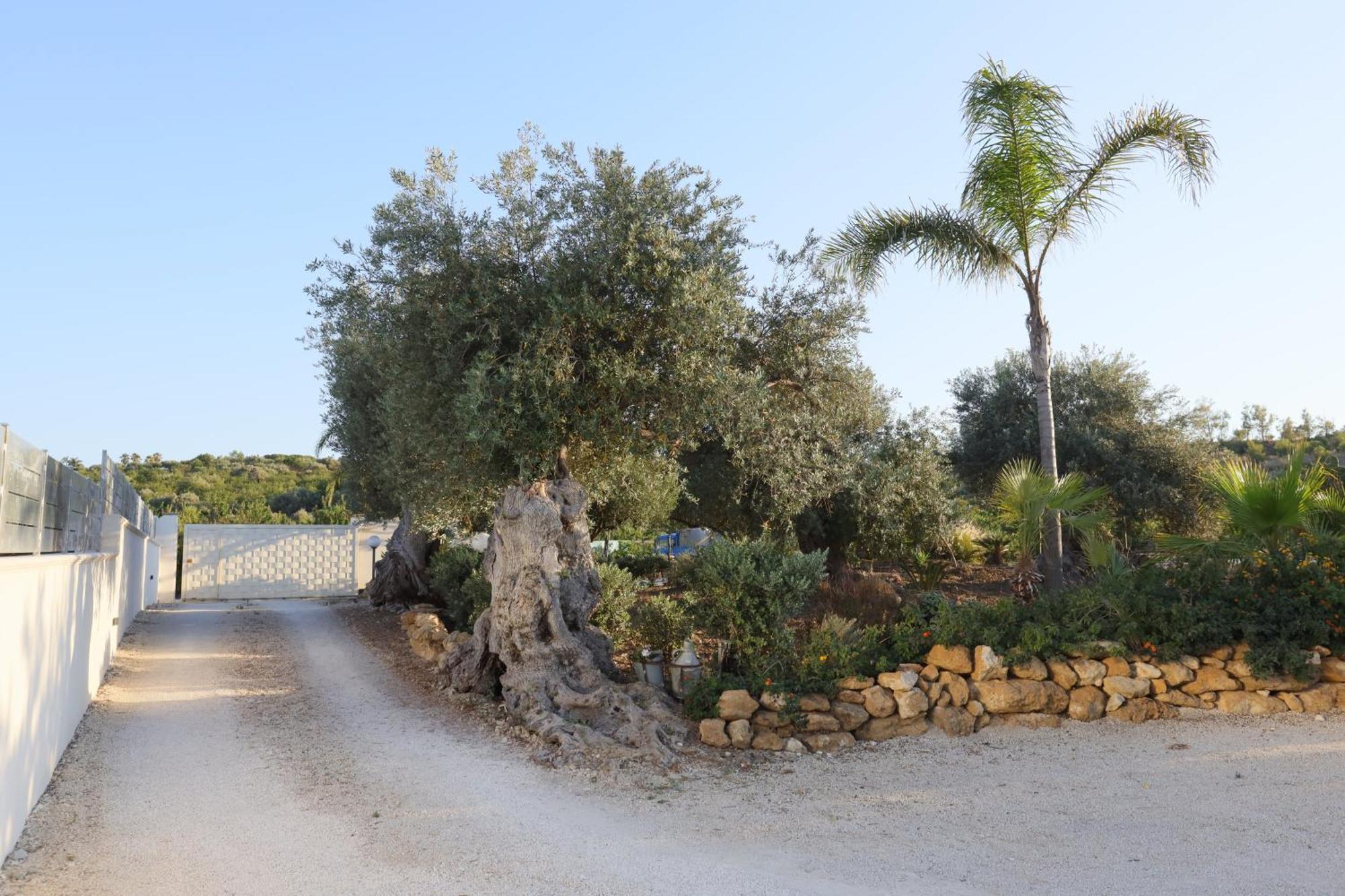 Dea Degli Ulivi House Hotell Agrigento Eksteriør bilde