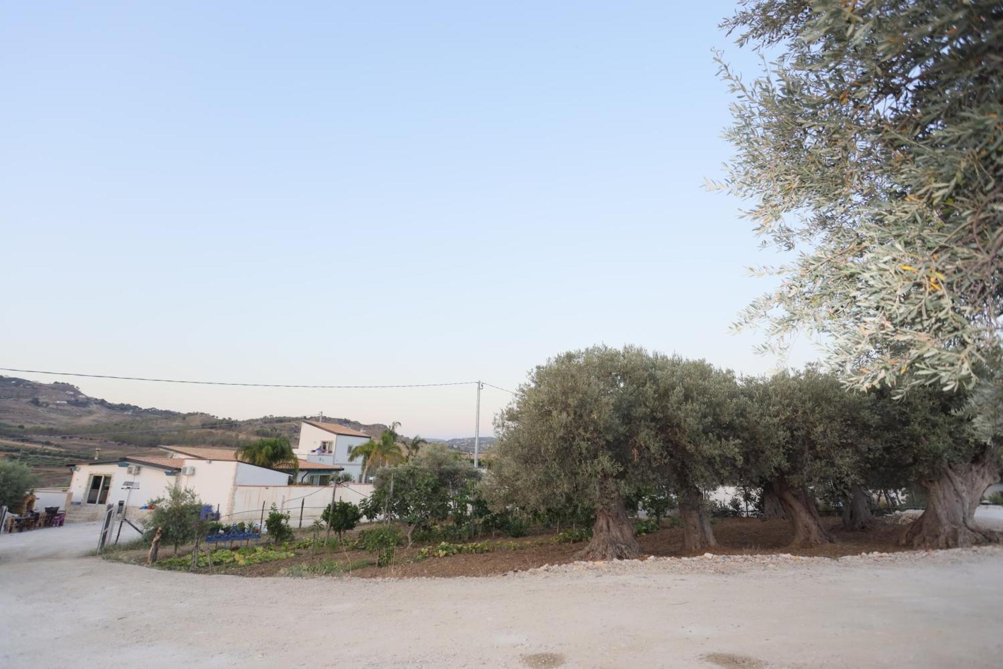 Dea Degli Ulivi House Hotell Agrigento Eksteriør bilde